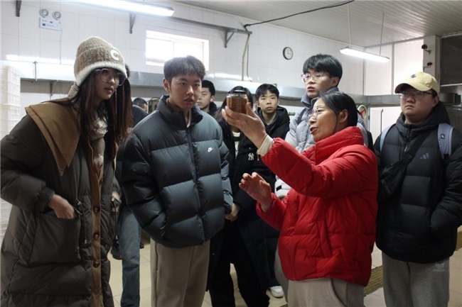 ueditor/图片4_1770367486682.png