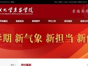 聊城大学东昌学院在2024年山东省暑期“三下乡”社会实践活动中斩获佳绩