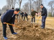 聊城大学师生积极参加植树节活动
