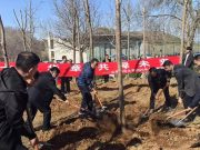 山东师范大学开展“七五华章，共榉未来”义务植树活动