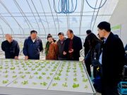 潍坊职业学院开展乡村振兴专题调研 助力三产融合与高质量发展