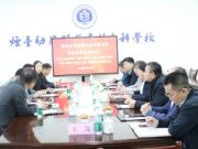 跨国携手谋发展，共绘教育新蓝图