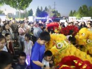 智汇滨州展风采 职教成果绽芳华：鲁北技师精彩亮相省智运会系列活动