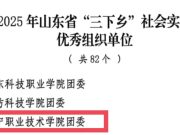 济宁职业技术学院2025年“三下乡”社会实践活动荣获多项省级表彰
