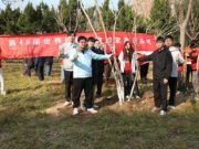 劳“植”绿意，共“树”未来 山东劳动职业技术学院开展义务植树特色劳动教育活动