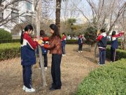 我与小树共成长——滕州市中等职业教育中心学校团委开展植树节小树认养活动
