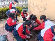 二月二龙抬头 植绿播种寄希望  —— 沂水县圈里乡麻庄小学开展种花主题劳动实践活动