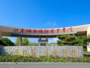 山东城市服务职业学院2026年度公开招聘人员公告