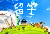2026山东专业留学培训机构怎么选？核心能力看这几点
