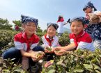 在泥土与诗行间寻找成长密码 ——五莲县行知实岩小学研学记