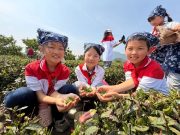 在泥土与诗行间寻找成长密码 ——五莲县行知实岩小学研学记
