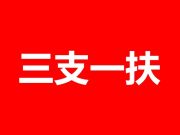 2024年山东省高校毕业生“三支一扶” 计划招募公告