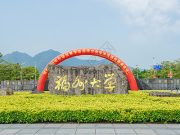 福州大学2024年高校专项计划招生简章