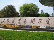 上海视觉艺术学院2024年艺术类专业招生简章