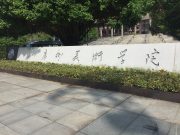 广州美术学院2024年普通本科招生简章