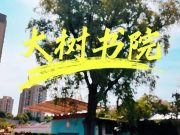 杨柳千条拂面丝 传统文化润童心——市中区中华优秀传统文化研习基地“大树书院”专题分享会在济南市白马山小学举行