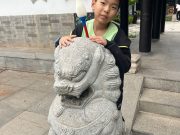 我学会了种菜