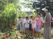 济南市钢城区：暑期托管班孩子们的“花园探险记”