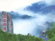 考事“杰”报丨经济类专业遇冷，医学、人工智能等最受山东学霸青睐