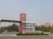 2024年阳信县职业中专公开招聘15名教师简章