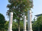 山东农业大学：扎根“三农”沃土 培养“顶天立地”新农人