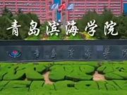 山东省教育国际交流工作先进单位这一殊荣花落青岛滨海学院