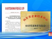 山大鸥玛公司获得“山东省企业技术中心”等多项荣誉
