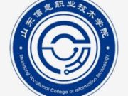 2025山东信息职业技术学院单招综评招生计划