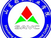 山东铝业职业学院2025年高职（专科）单独考试招生和综合评价招生章程