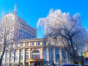 山东第一医科大学附属肿瘤医院2025年公开招聘人员公告