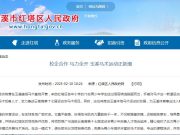 校企合作 马力全开 玉溪马术运动正新潮