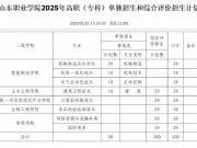 2月18日开始报名！山东职业学院2025年高职（专科）单招综招安排来了