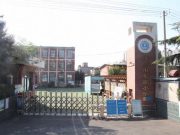 倡树新时代美德健康生活方式——记济南市七贤小学三中队生活德育“家庭三个践行”行动
